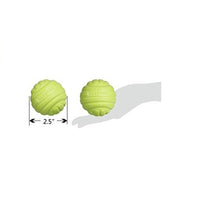 iDogmate 2.5 inches DURABLE & WASHABLE Pet Balls (2pcs)