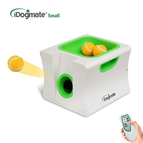 best ball launcher for dogs